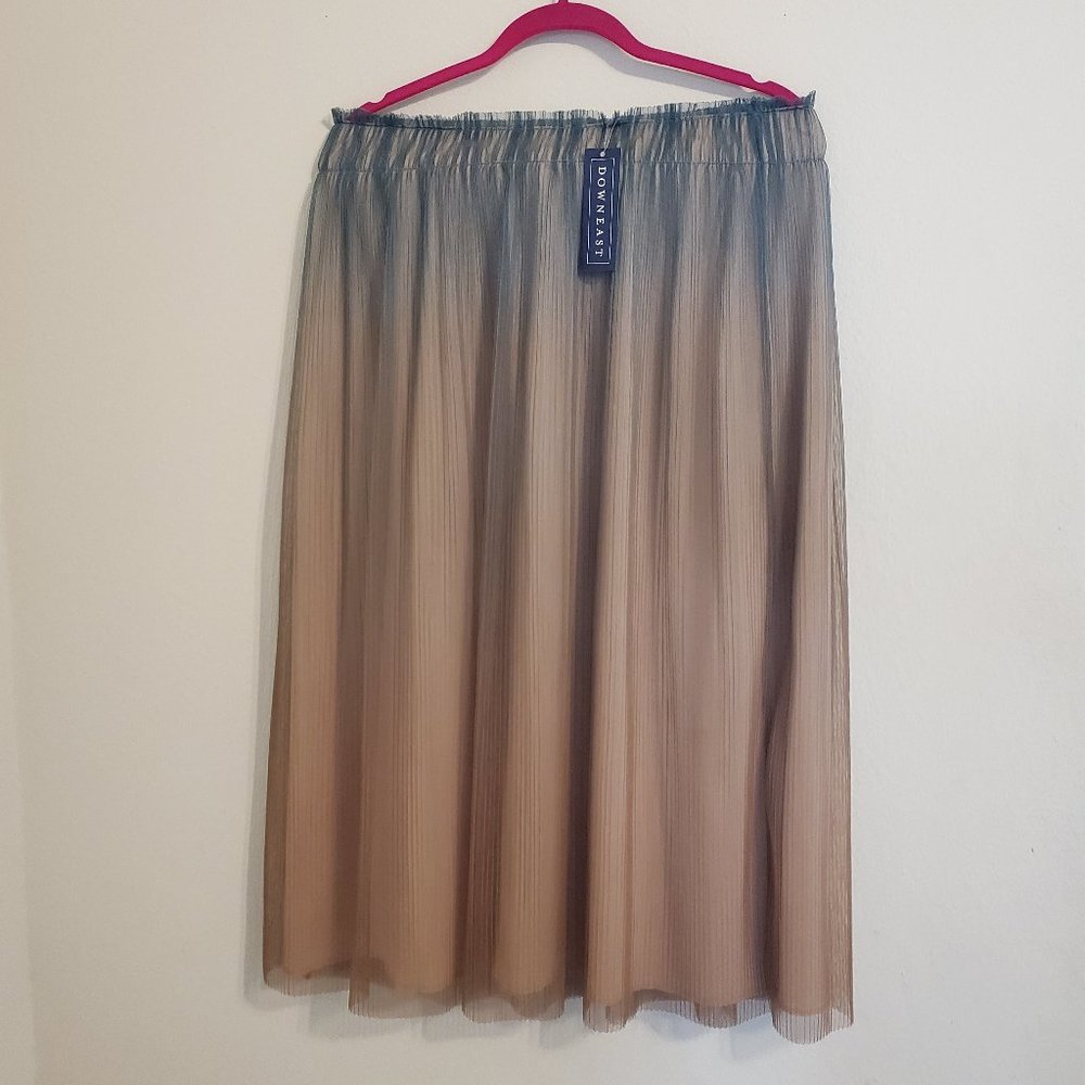 NWT Ombre tulle skirt